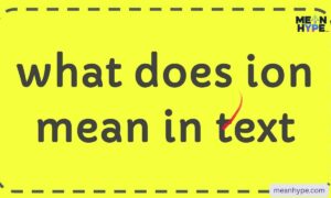 ION meaning in text what it really stands for in chat