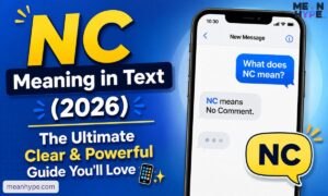 NC meaning in text