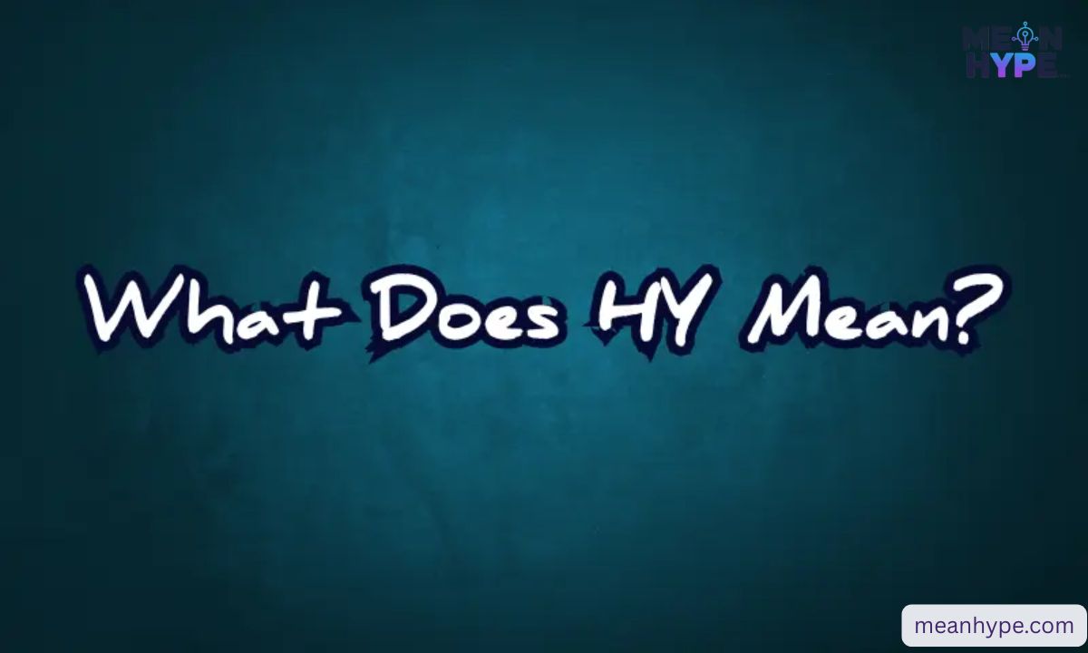 HY meaning in text