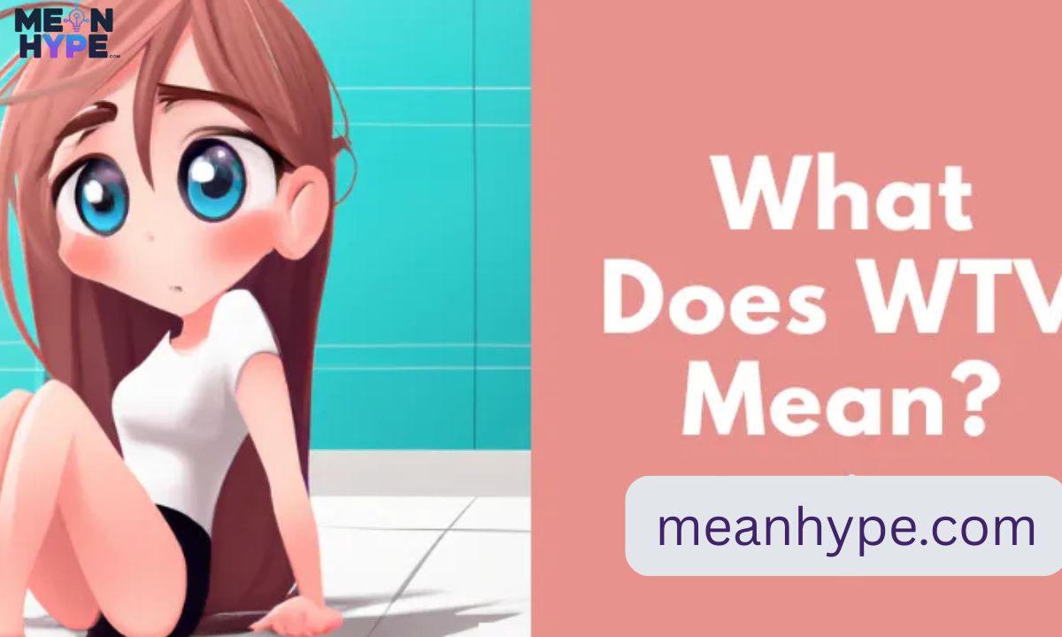what do WTV mean in text