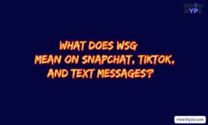 WSG meaning in text