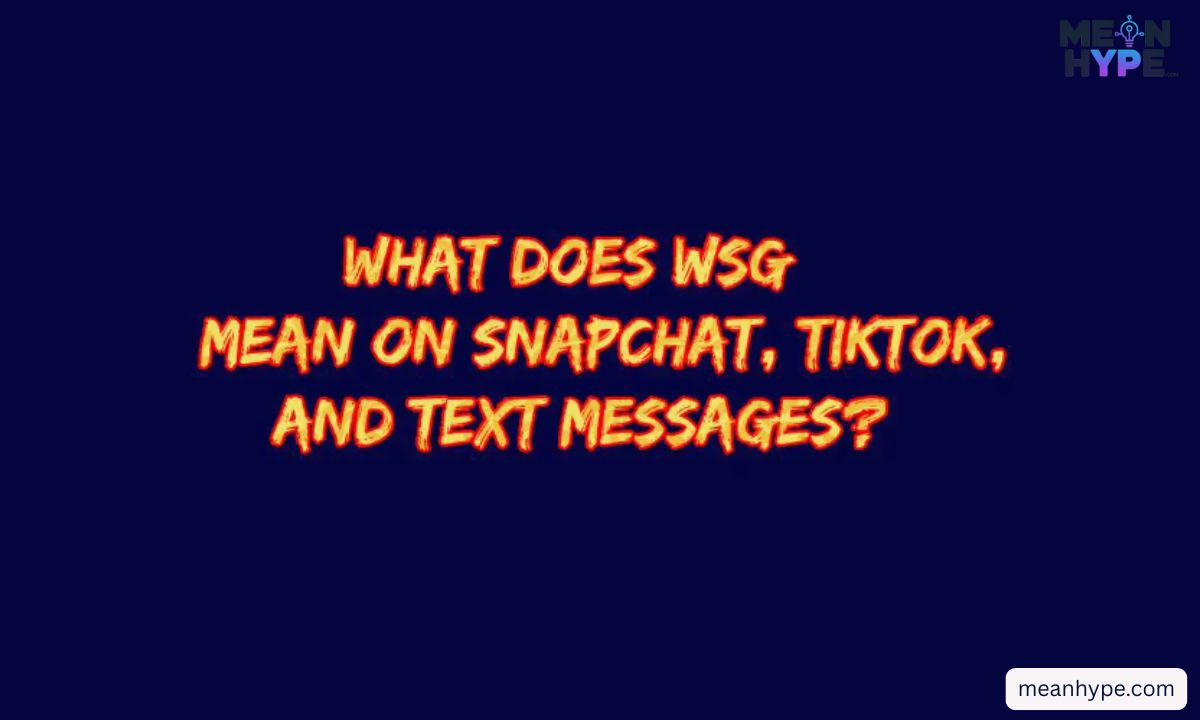 WSG meaning in text