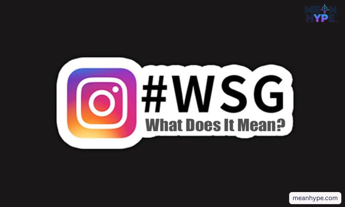 WSG meaning in text