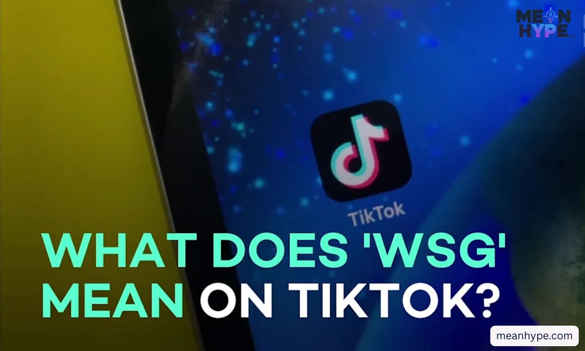 WSG meaning in text