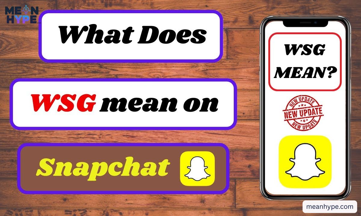 WSG meaning in text
