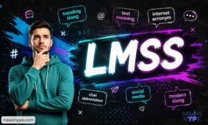 LMSS meaning in text