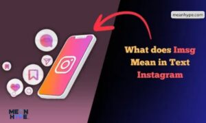 what does IMSG mean in text on Instagram