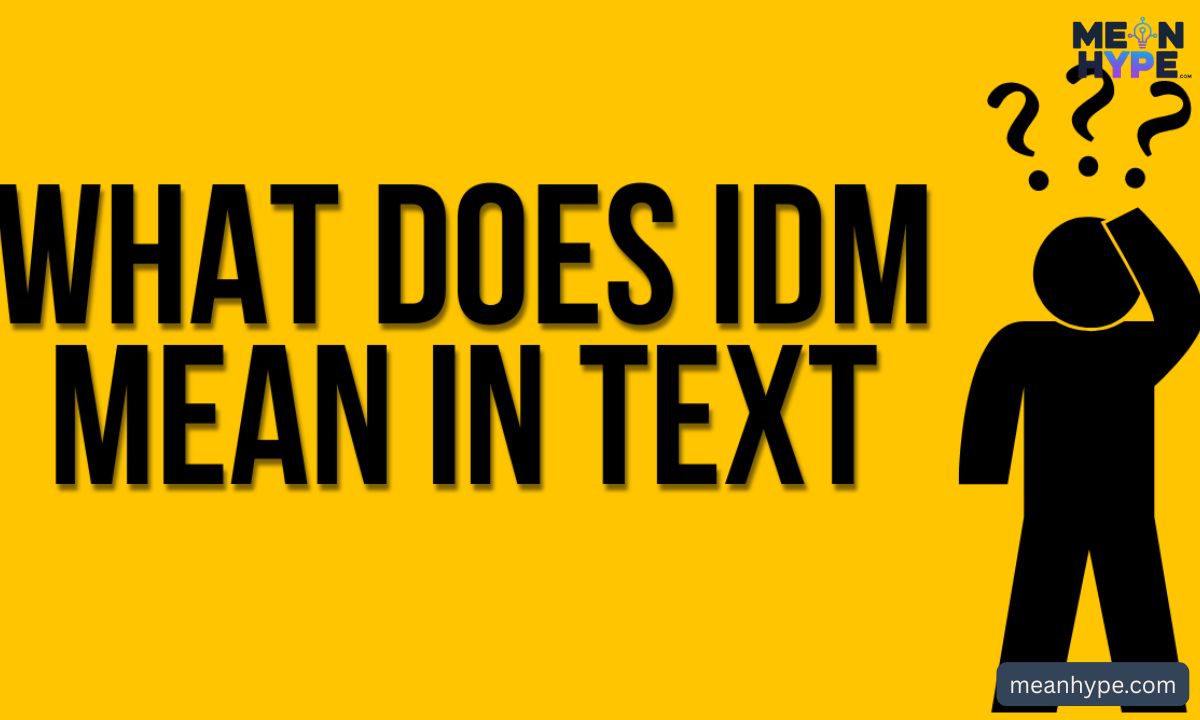 IDM meaning in text