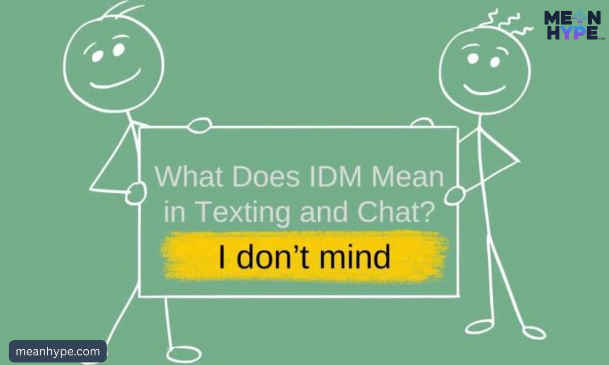 IDM meaning in text