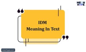 IDM meaning in text