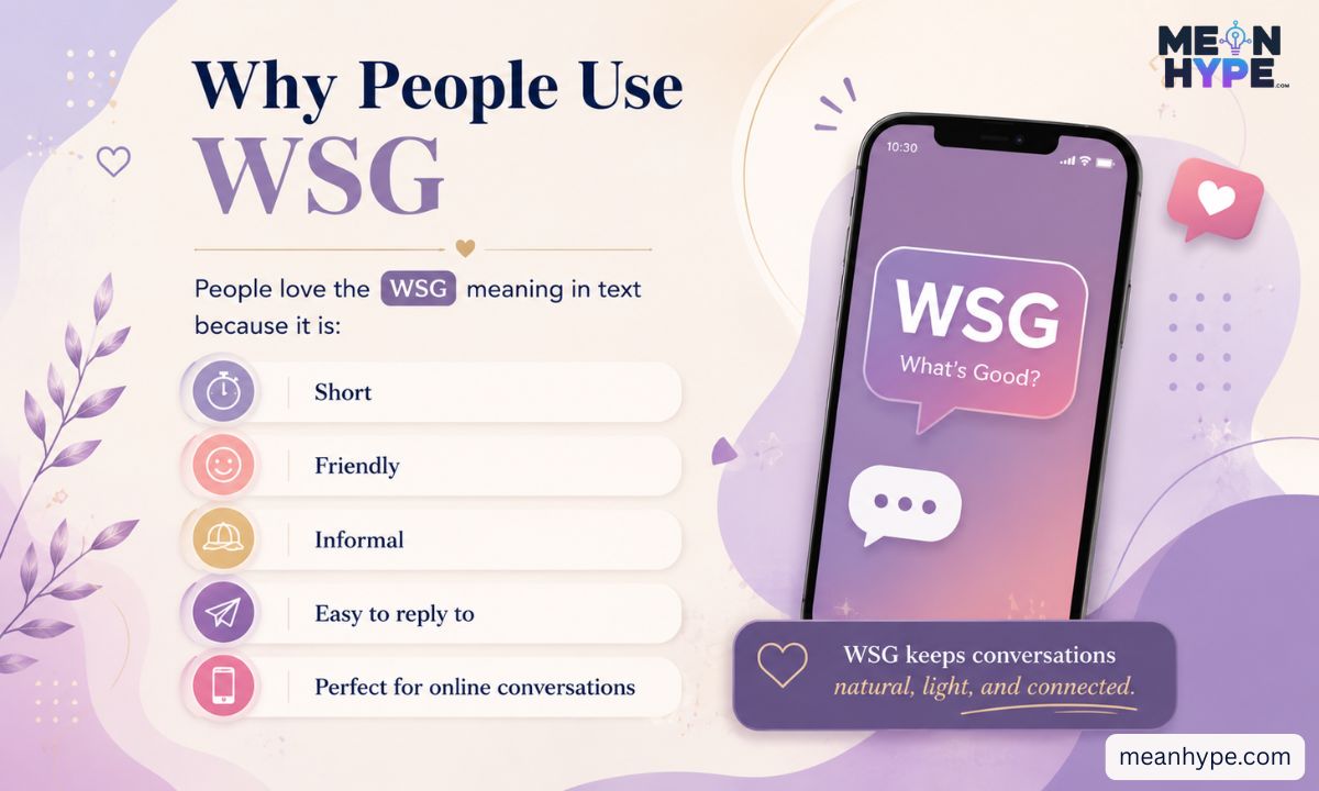  WSG meaning in text