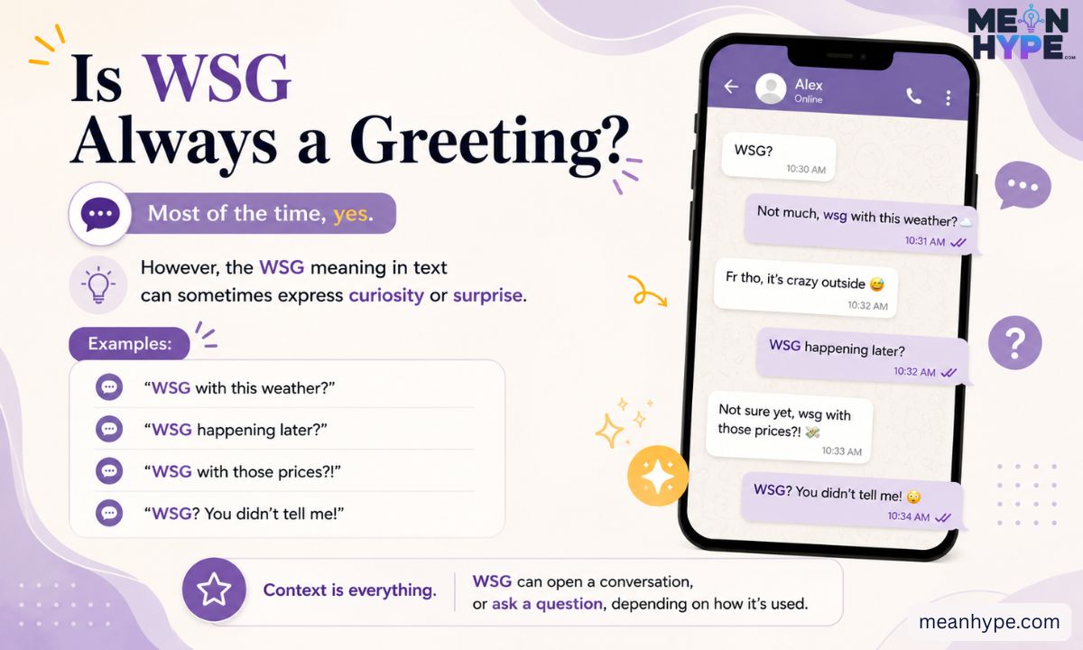  WSG meaning in text