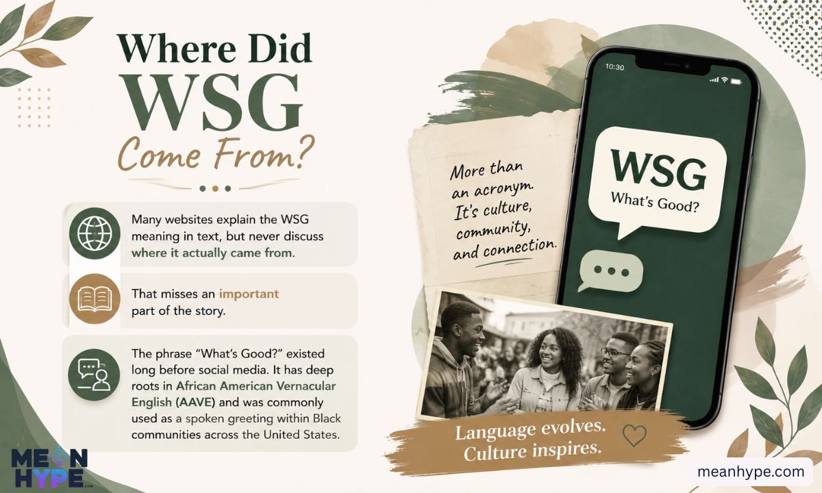  WSG meaning in text