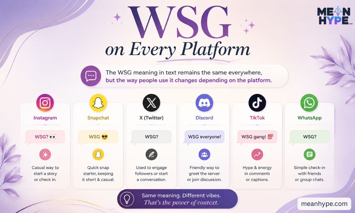  WSG meaning in text