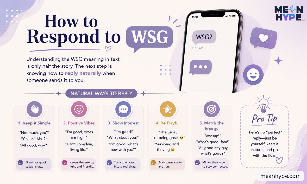  WSG meaning in text