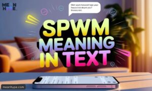 SPWM mean in text