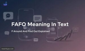 FAFO mean in text