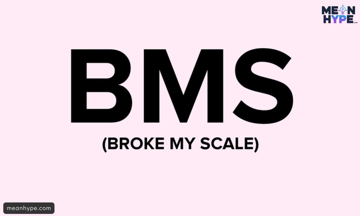 BMS mean in text