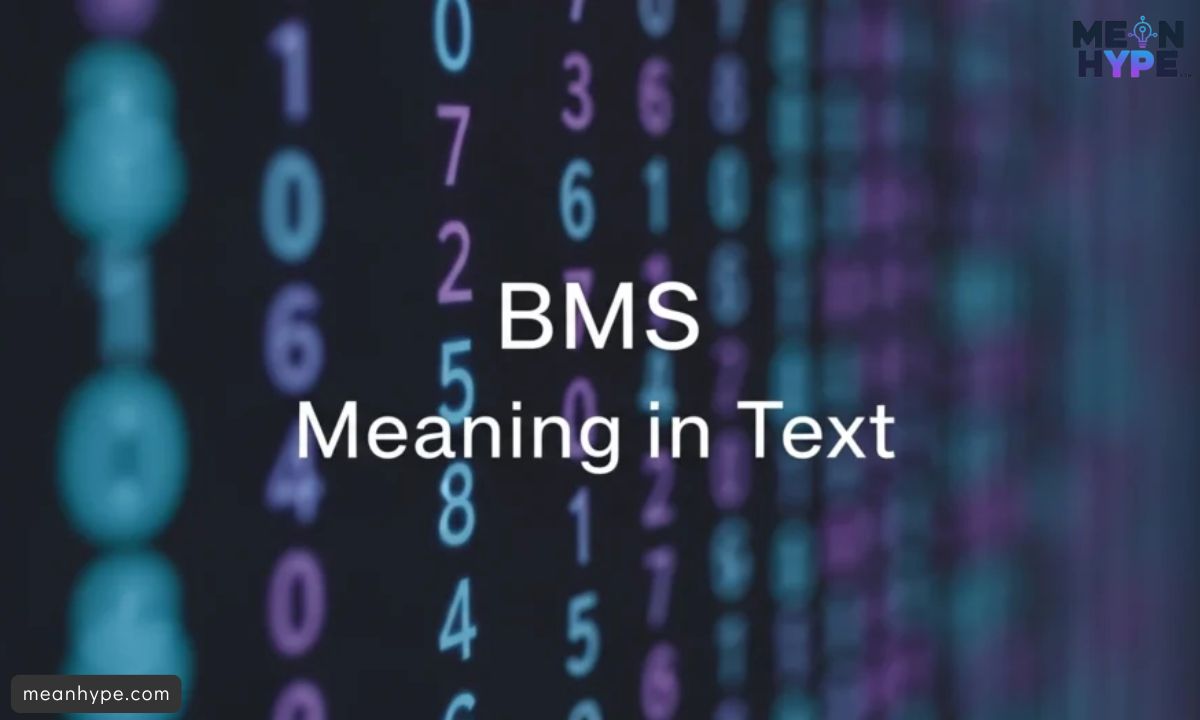 BMS mean in text
