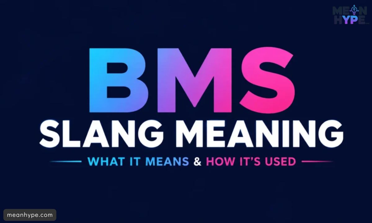 BMS mean in text