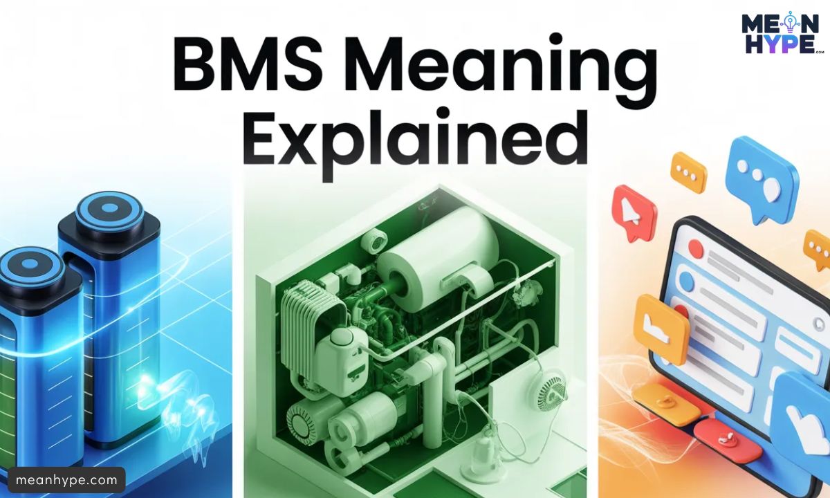 BMS mean in text