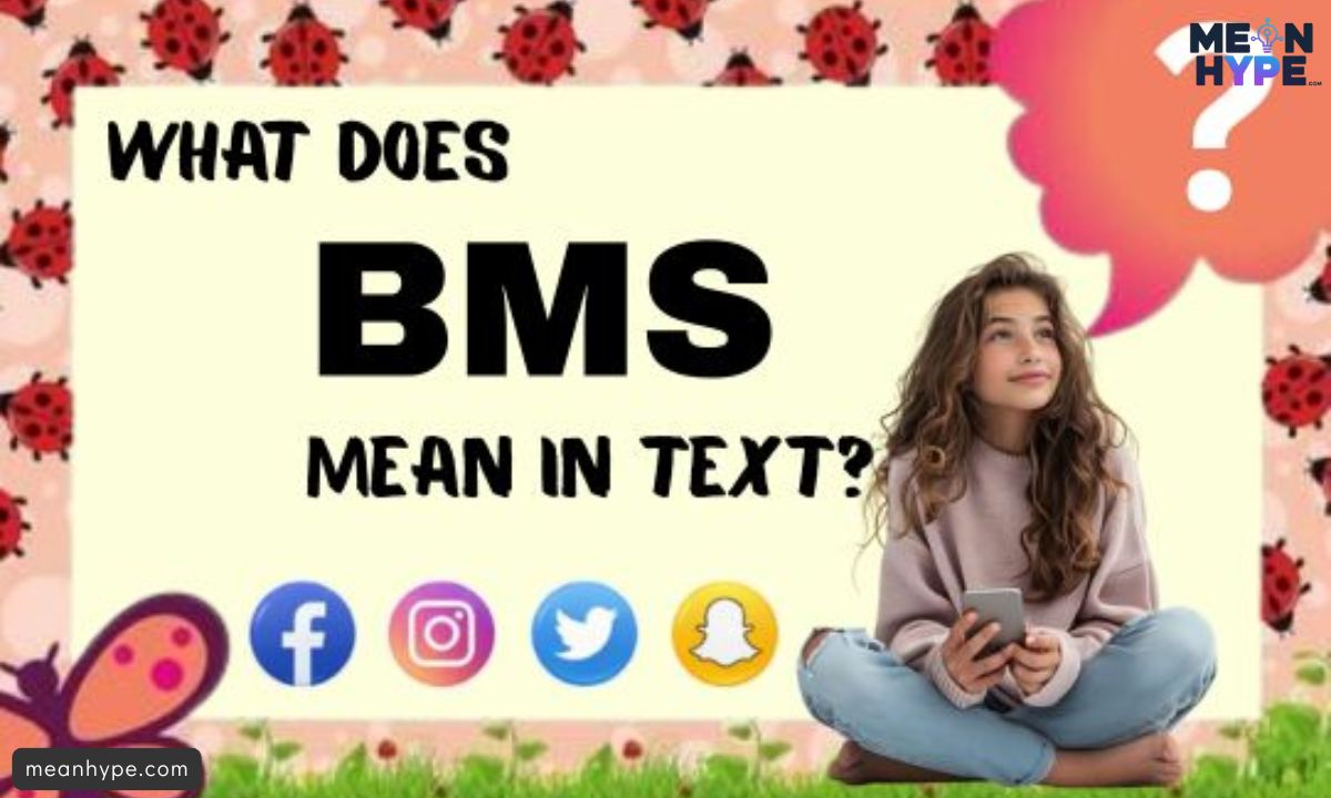 BMS mean in text