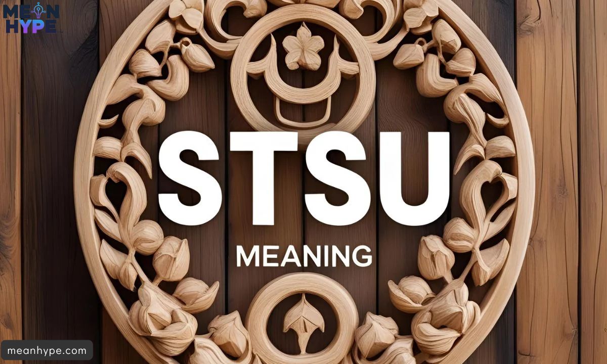 STSU mean in text