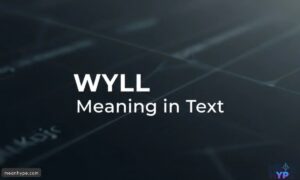 wyll mean in text