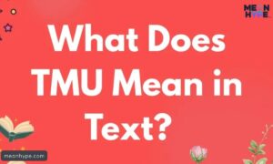 What Does TMU Meaning In Text