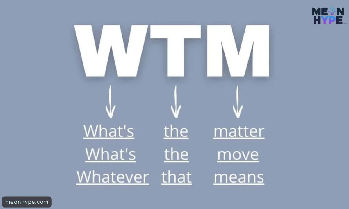WTM Meaning in Text