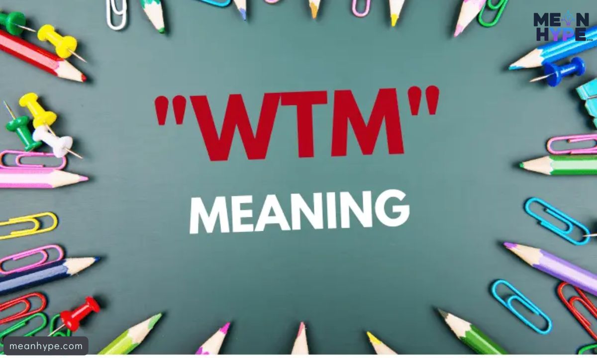 WTM Meaning in Text