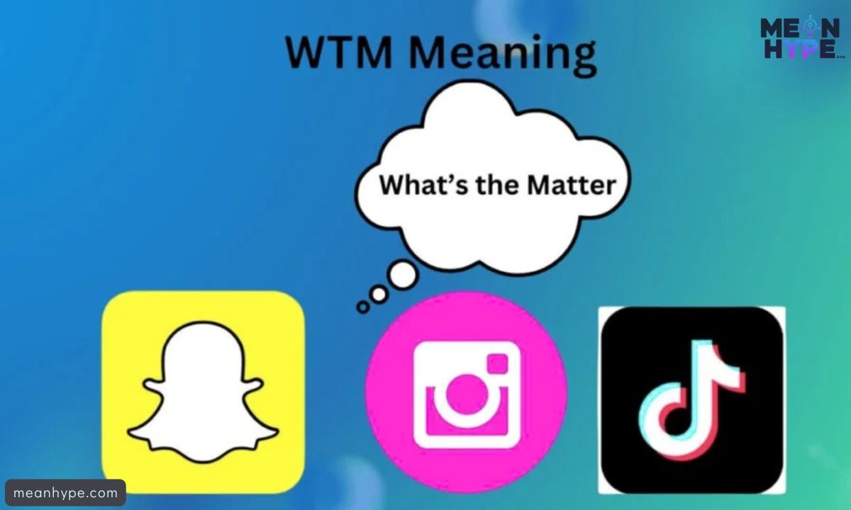 WTM Meaning in Text