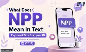 NPP mean in text