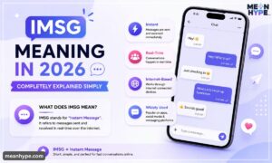 IMSG meaning