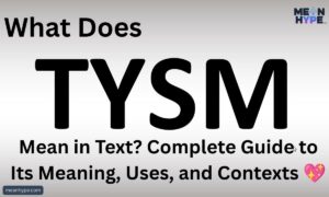 TYSM Mean in Text