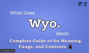 WYO means in text