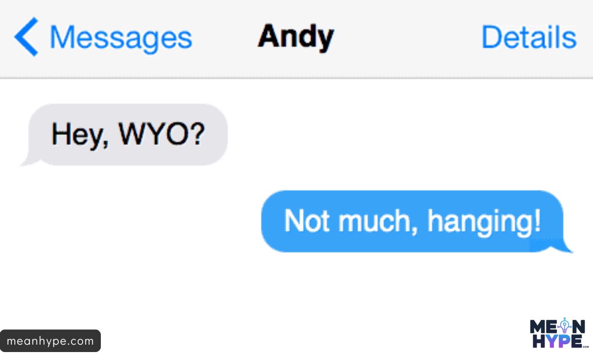 WYO means in text