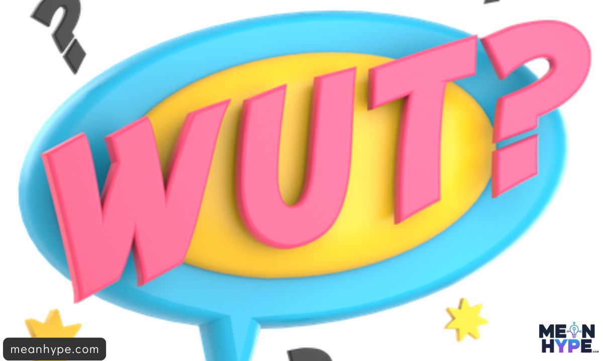 WUT mean in text
