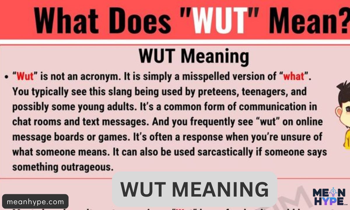 WUT mean in text
