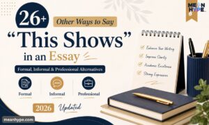 other ways to say this shows in an essay