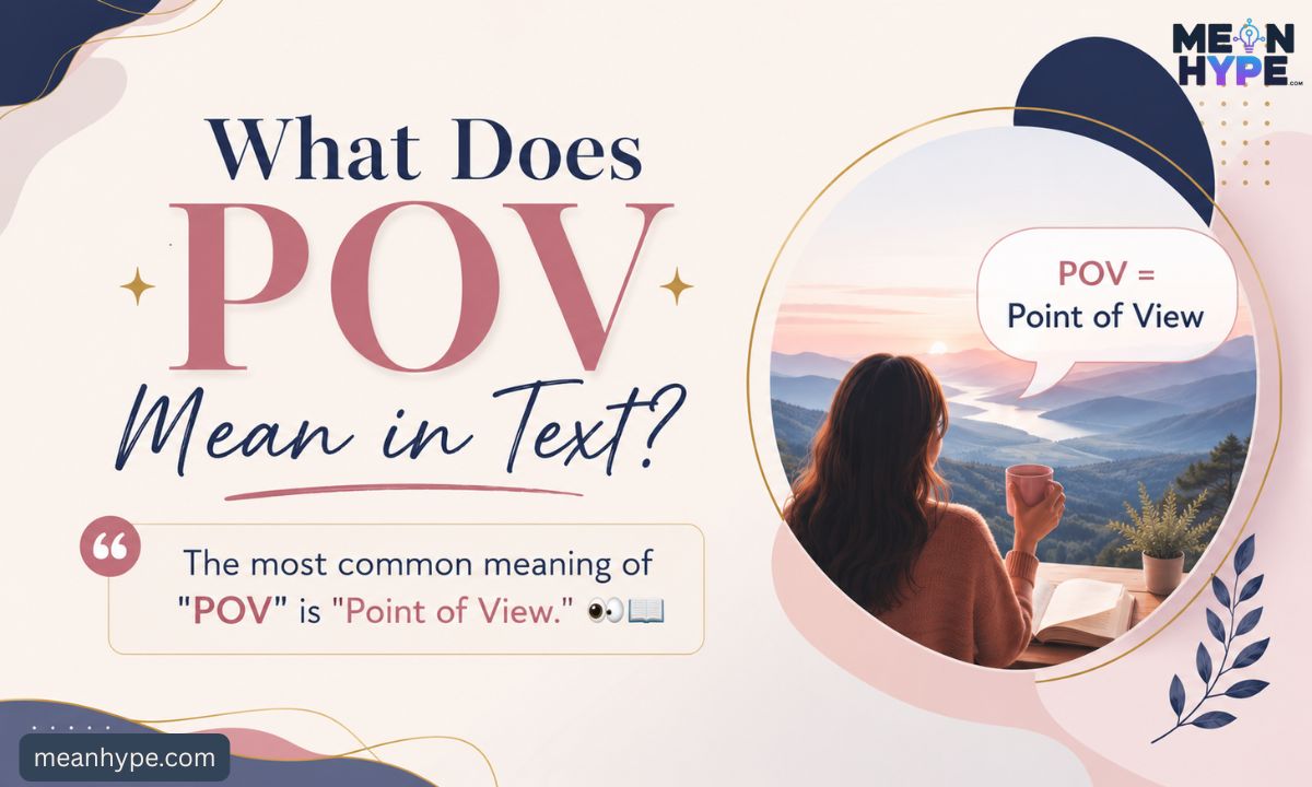 POV meaning