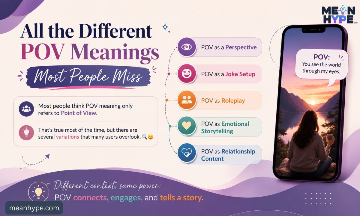 POV meaning
