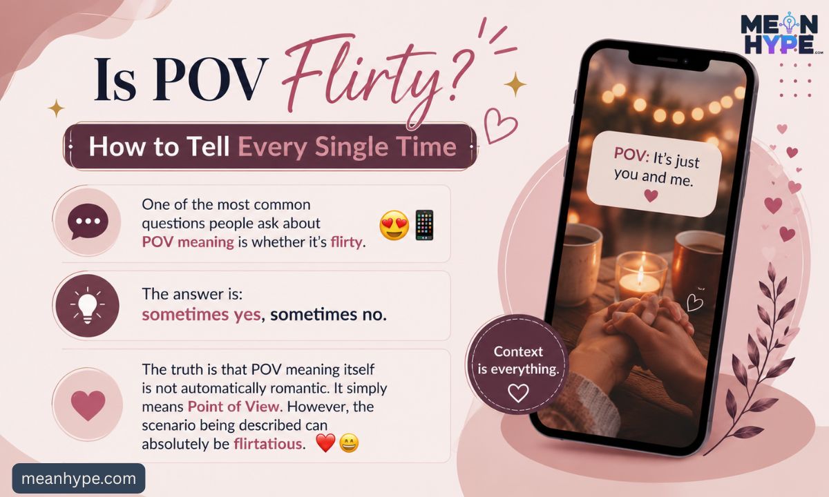 POV meaning