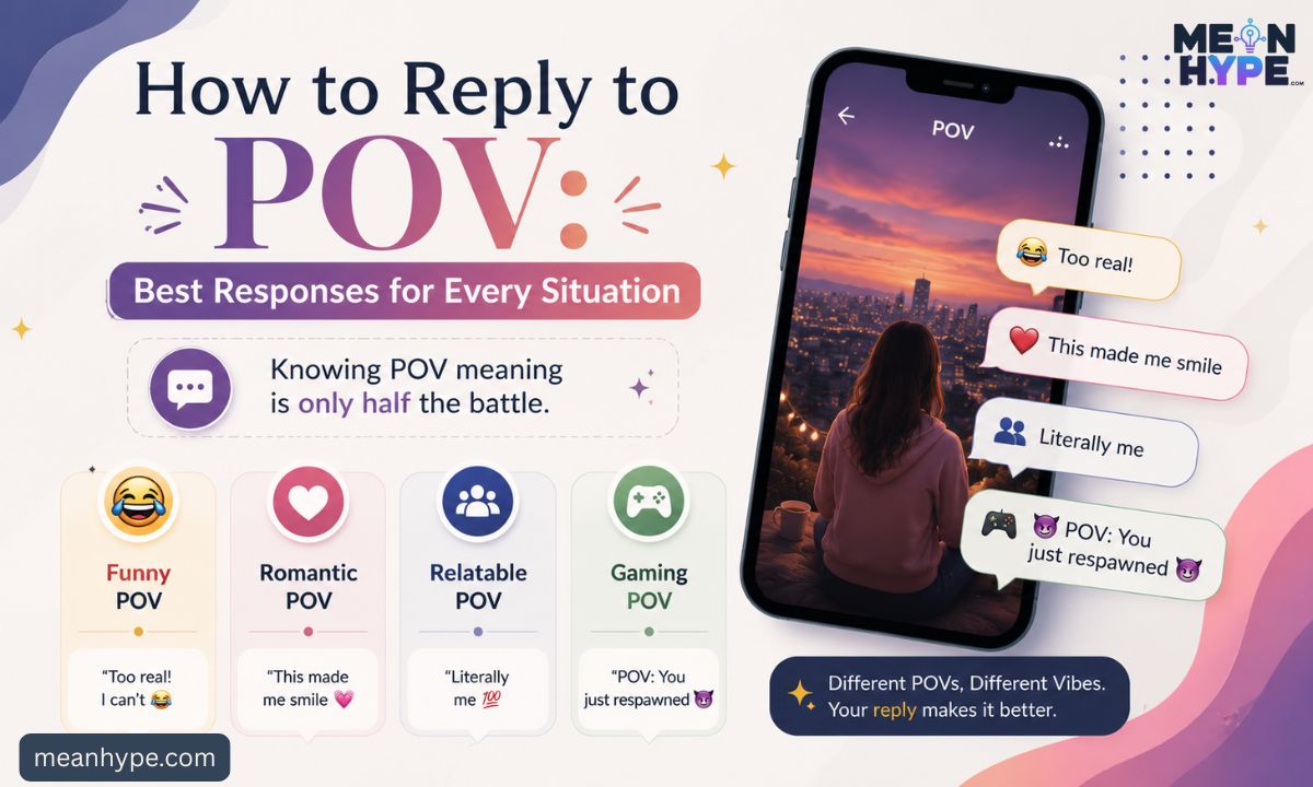 POV meaning
