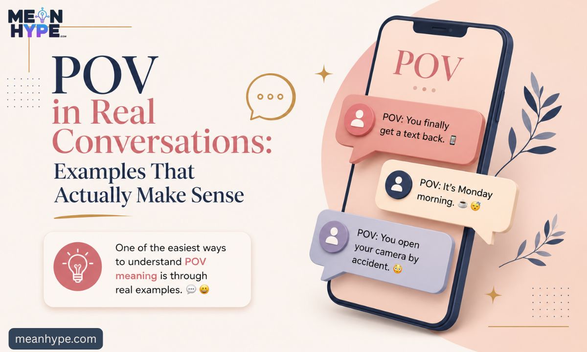 POV meaning