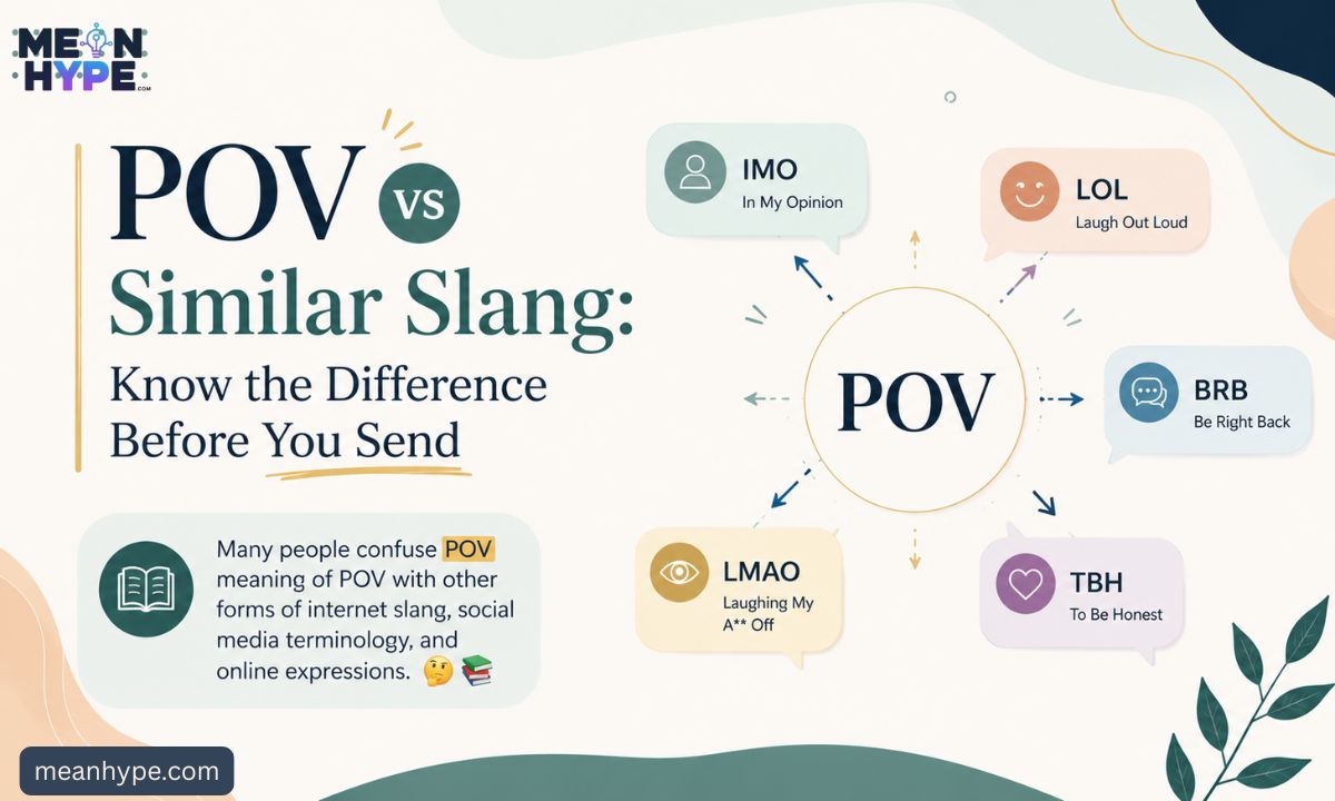 POV meaning