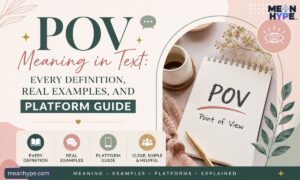 POV meaning