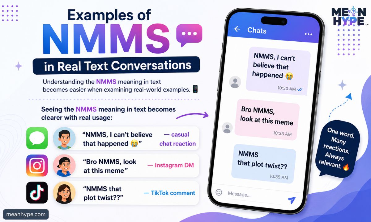 NMMS meaning in text