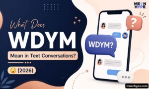 WDYM Mean in Text