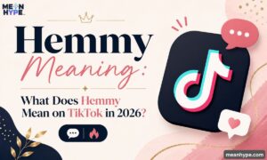 hemmy meaning